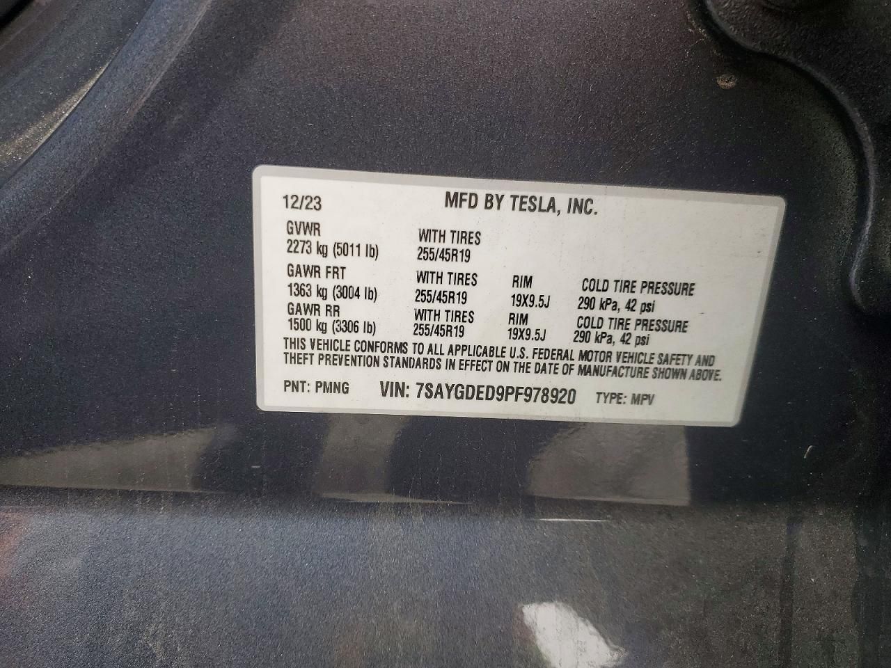 2023 Tesla Model y
