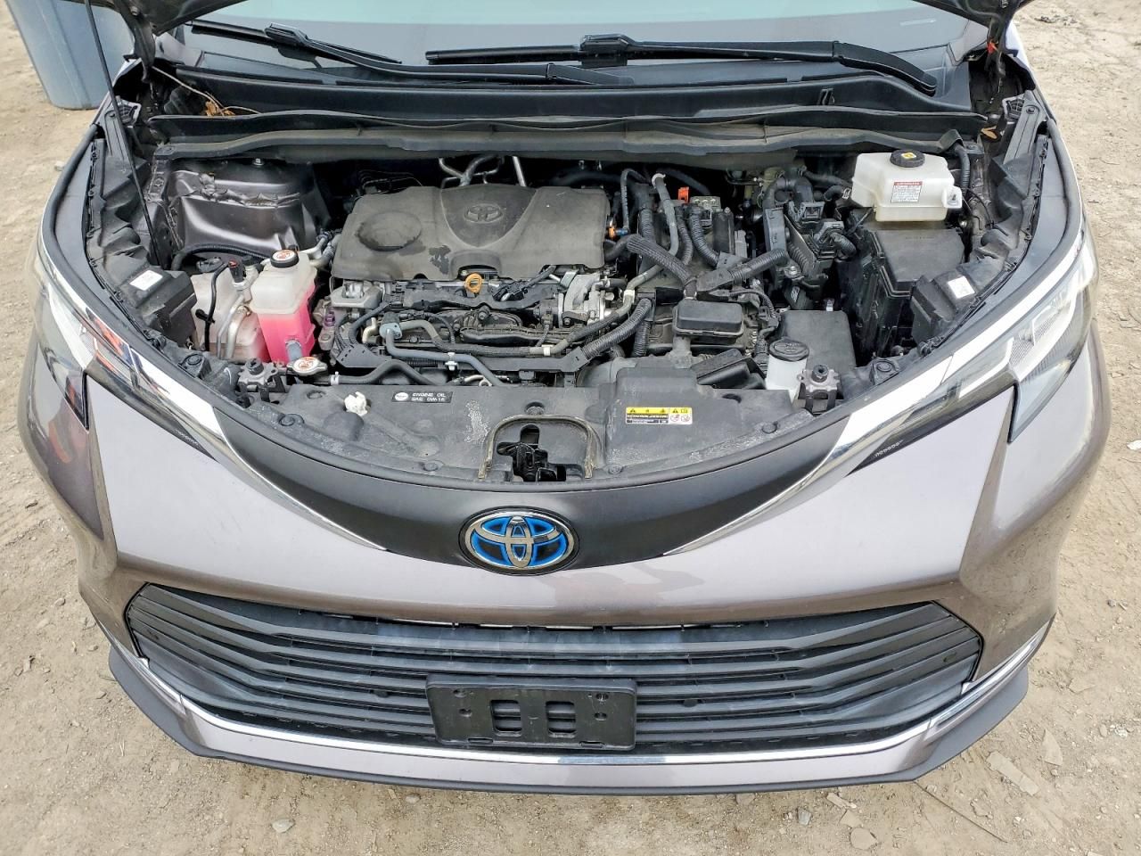 2021 Toyota Sienna xle 8-passenger