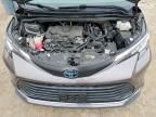 2021 Toyota Sienna xle 8-passenger