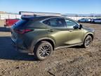 2026 Lexus Nx 350 Base