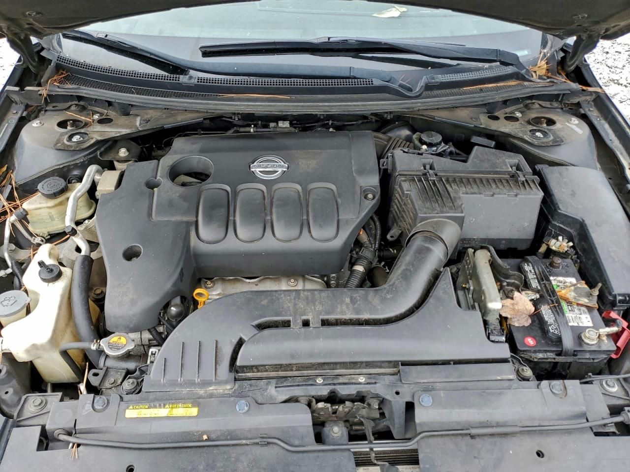 2010 Nissan Altima Base