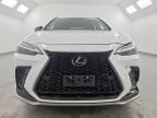 2024 Lexus Nx 350 f Sport Handling