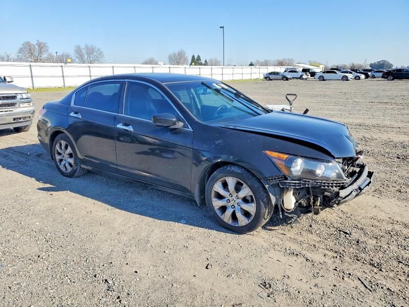 2010 Honda Accord exl