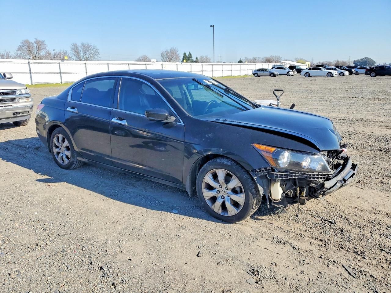 2010 Honda Accord exl