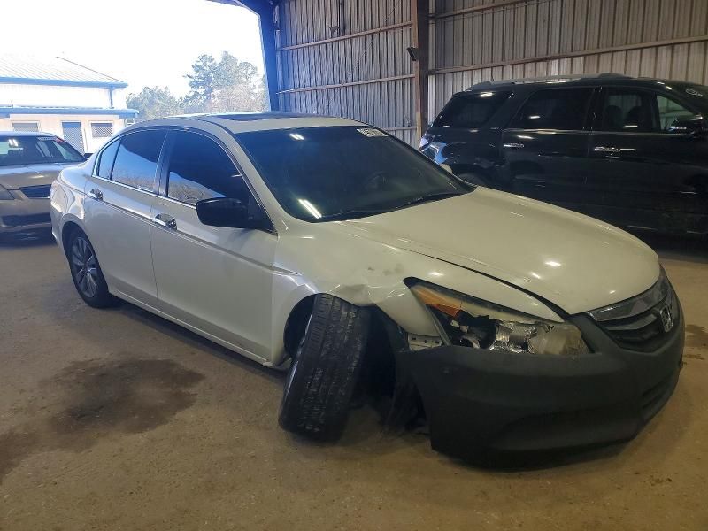 2011 Honda Accord exl