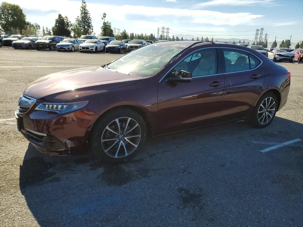 2015 Acura Tlx Tech