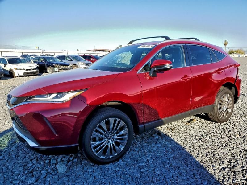 2024 Toyota Venza le