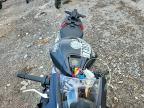 2025 Aprilia RS 660