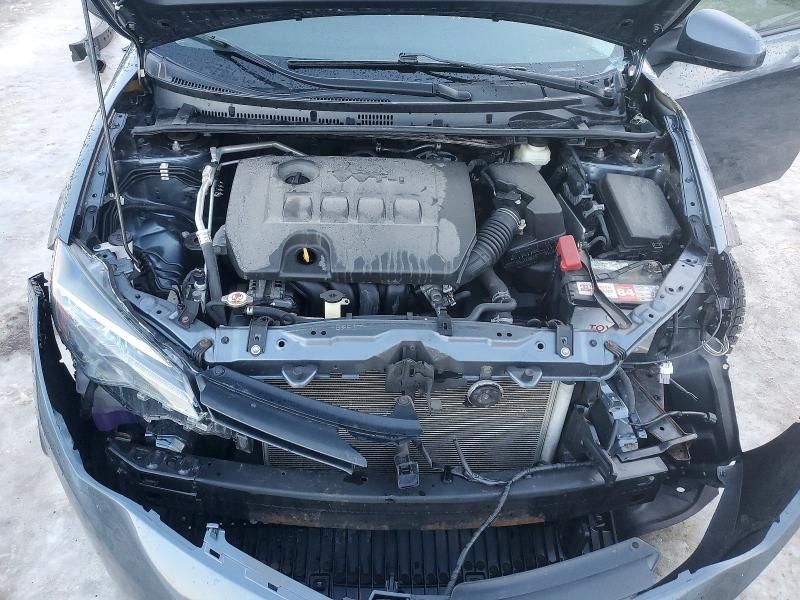 2019 Toyota Corolla l