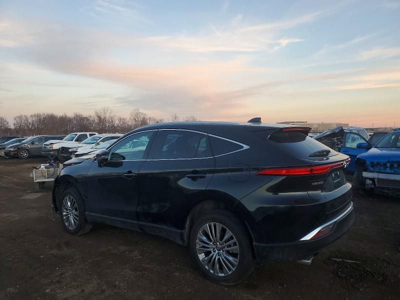 2023 Toyota Venza le