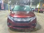 2020 Honda Odyssey exl