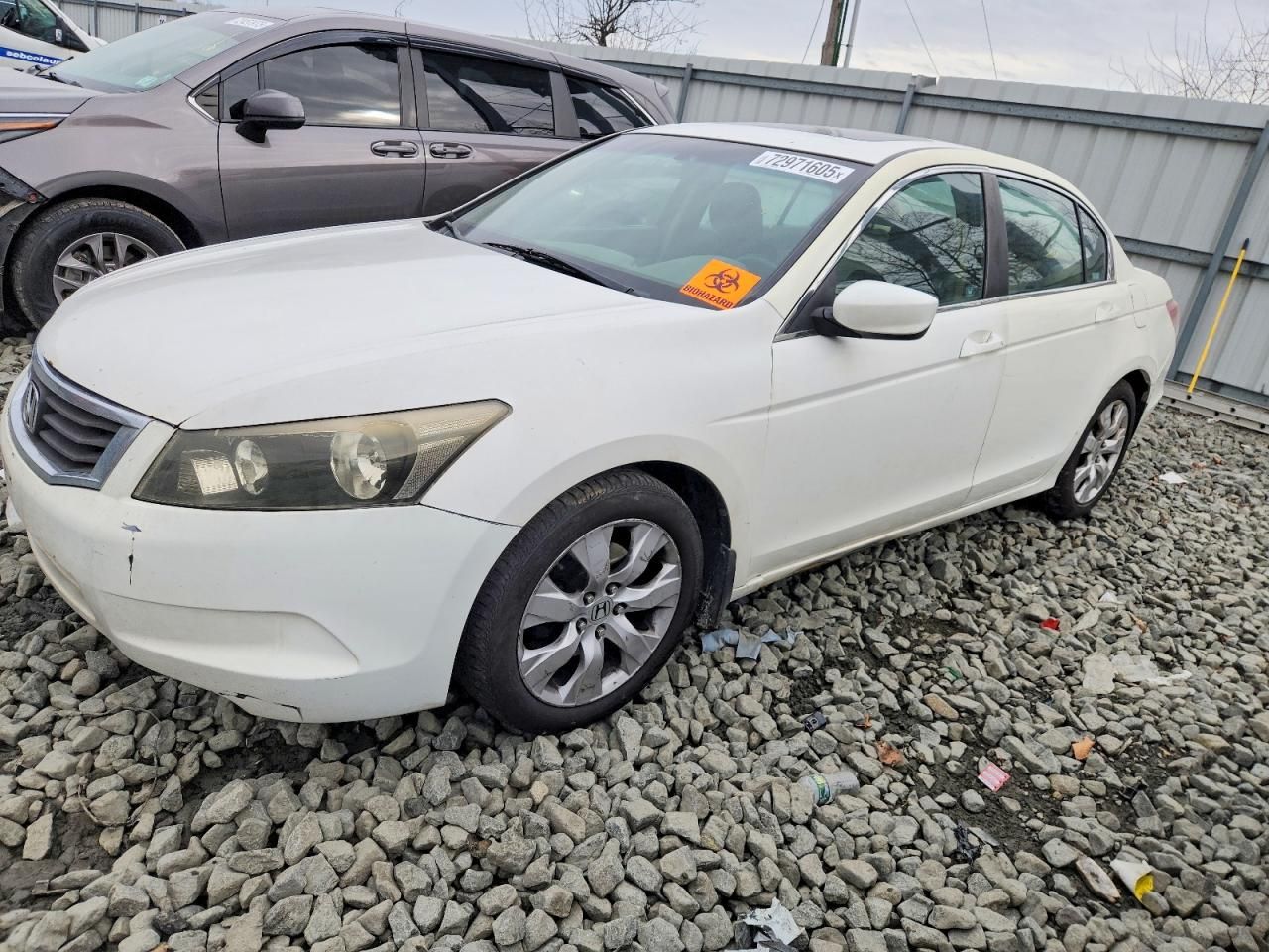 2010 Honda Accord exl