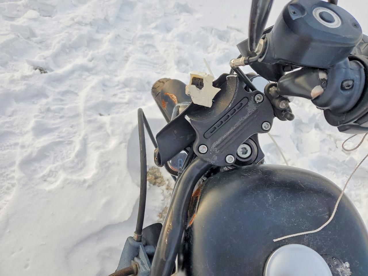 2021 Harley-Davidson Xl883 n