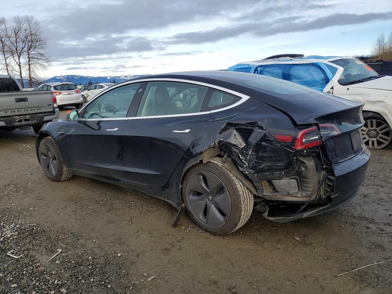 2019 Tesla Model 3