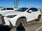 2024 Lexus Nx 350h Base