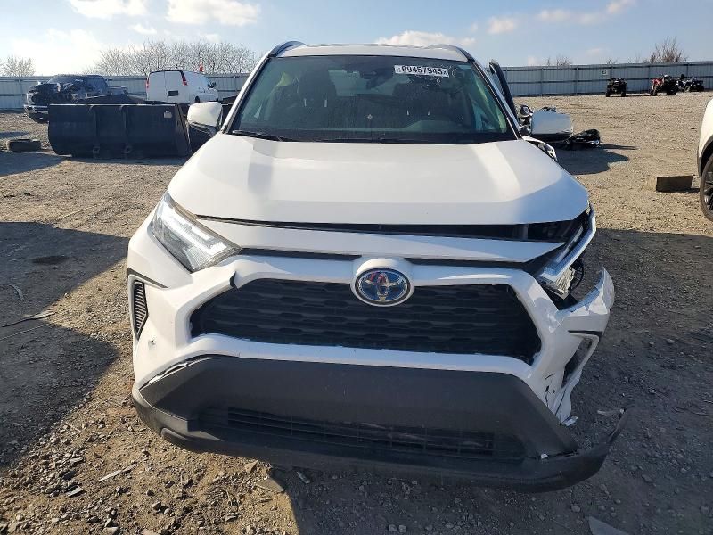 2024 Toyota Rav4 xle