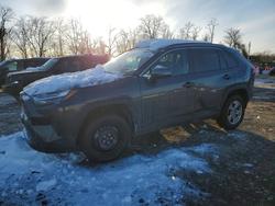 Toyota Rav4 salvage cars for sale: 2025 Toyota Rav4 xle