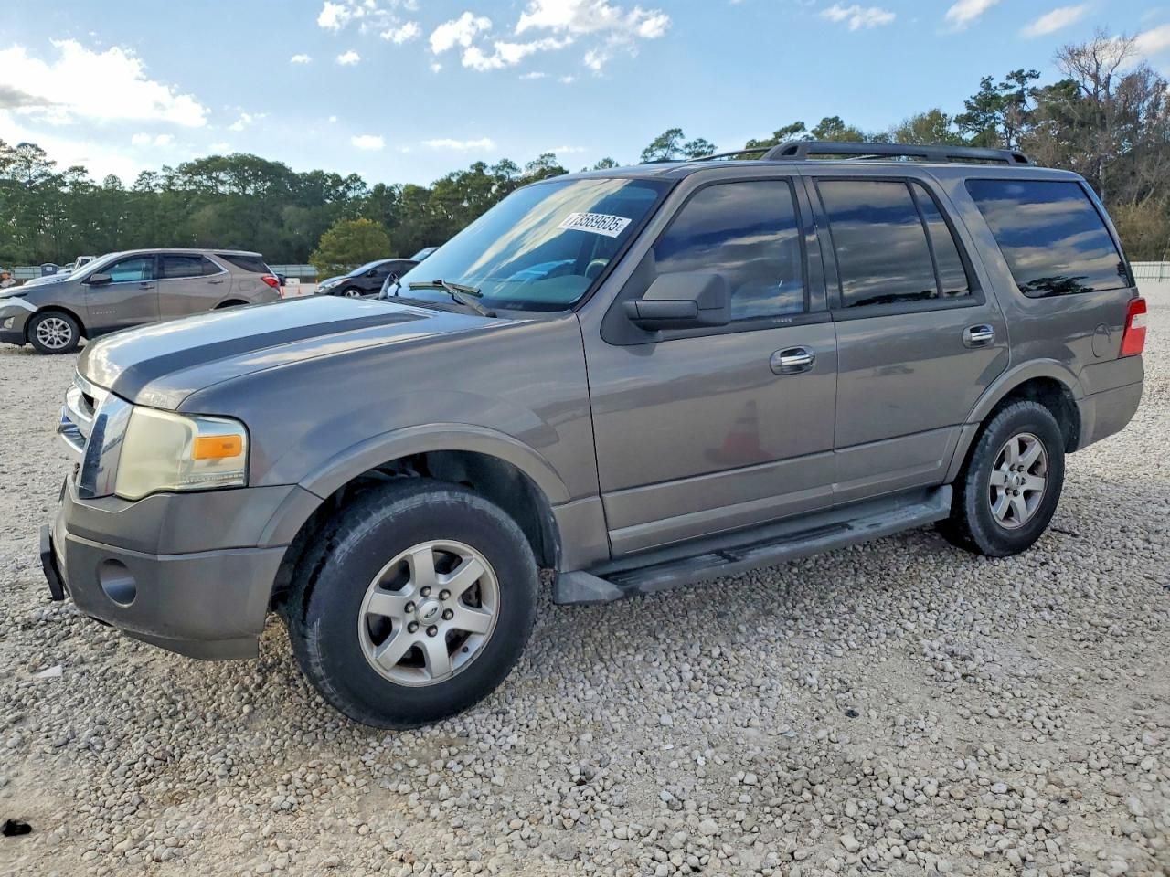 2010 Ford Expedition xlt