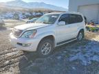2004 Lexus Gx 470