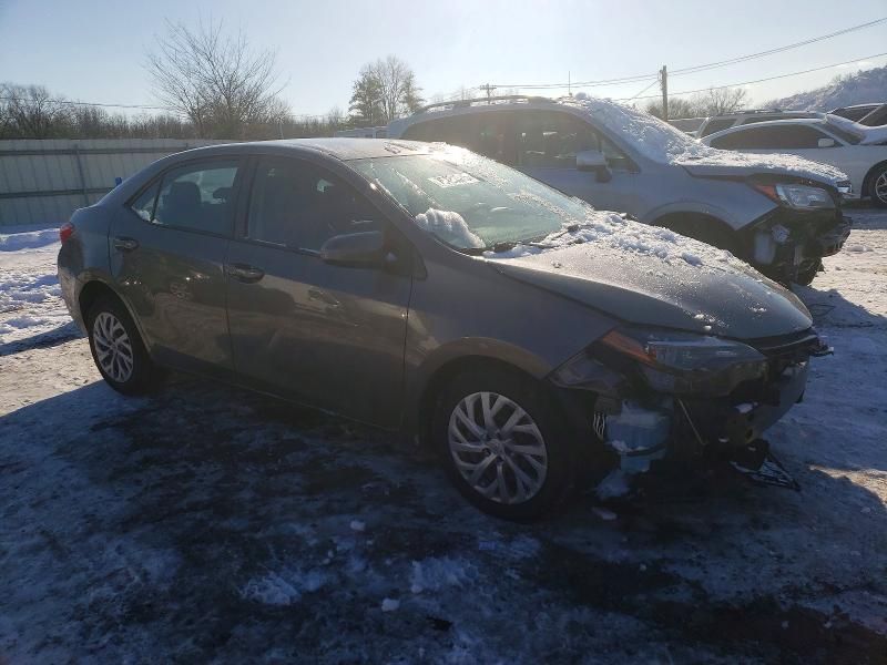 2019 Toyota Corolla l