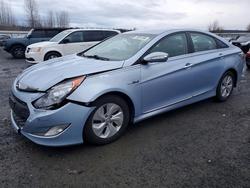 Hyundai salvage cars for sale: 2013 Hyundai Sonata Hybrid