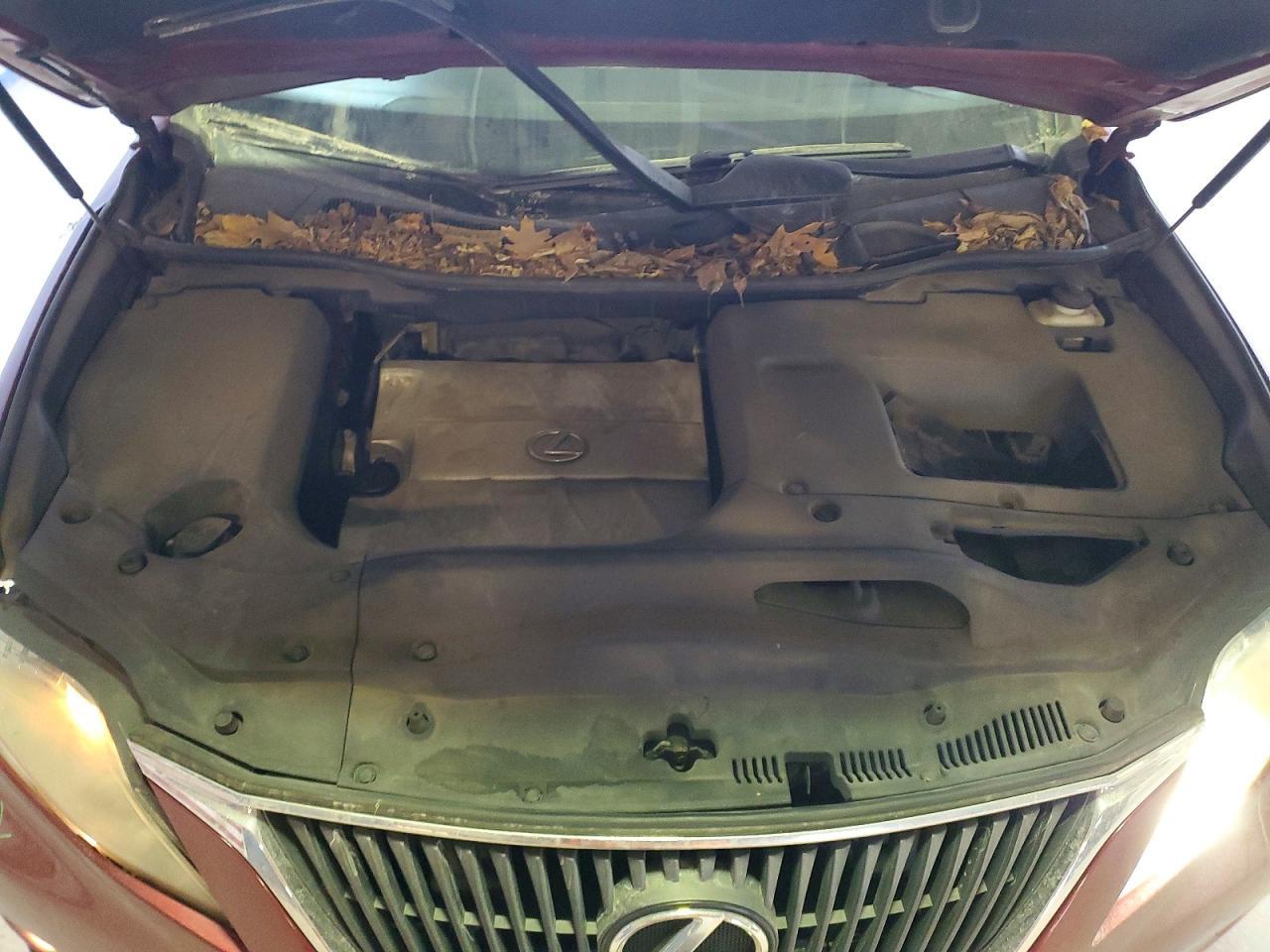 2010 Lexus Rx 350