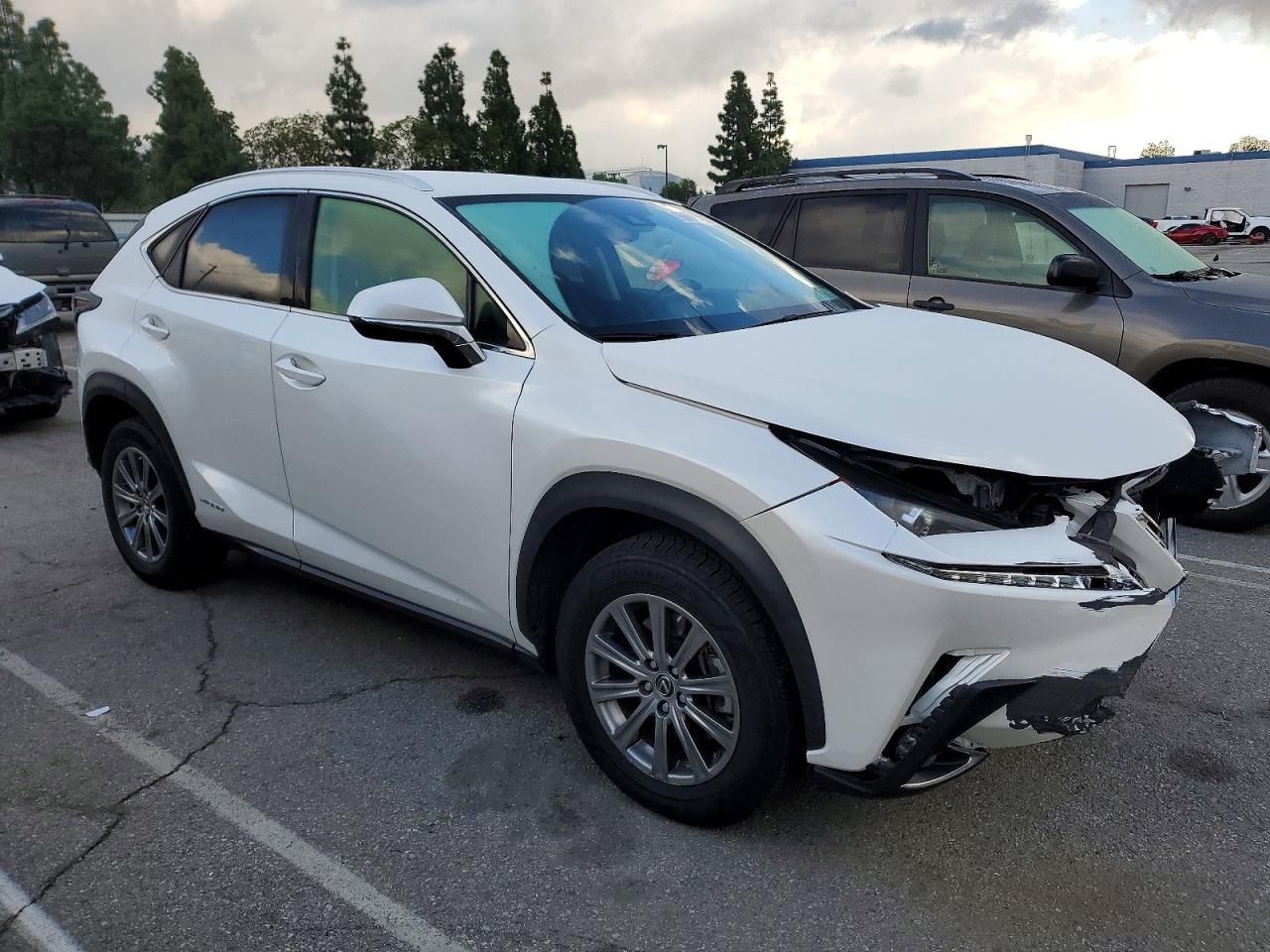 2020 Lexus Nx 300h Base