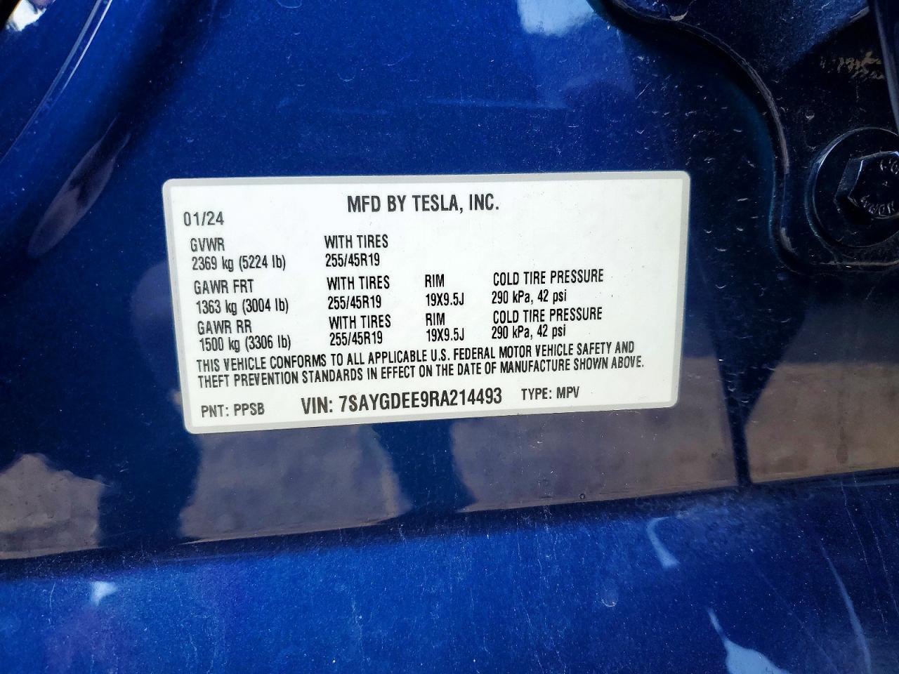 2024 Tesla Model y