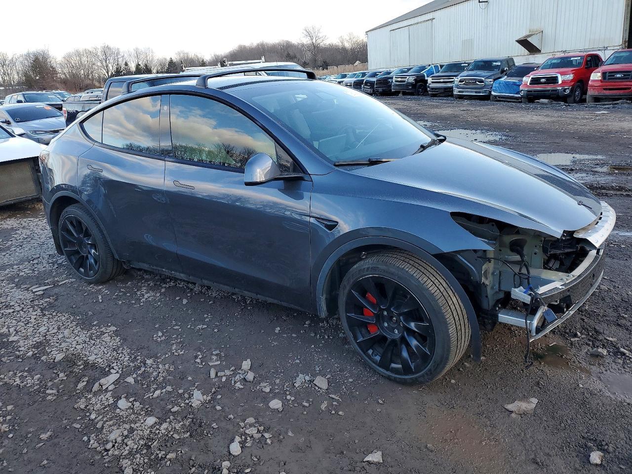 2021 Tesla Model y