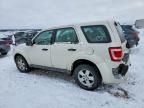 2012 Ford Escape xls