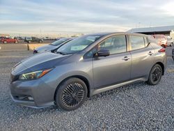 2024 Nissan Leaf sv Plus for sale in Brighton, CO