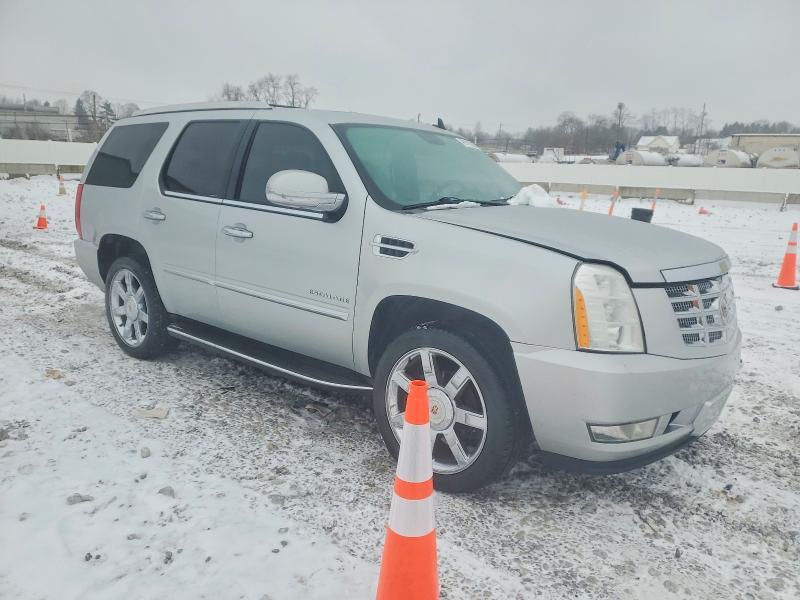 2013 Cadillac Escalade Luxury