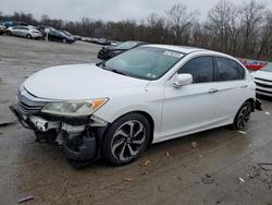 2016 Honda Accord exl for sale in Ellwood City, PA