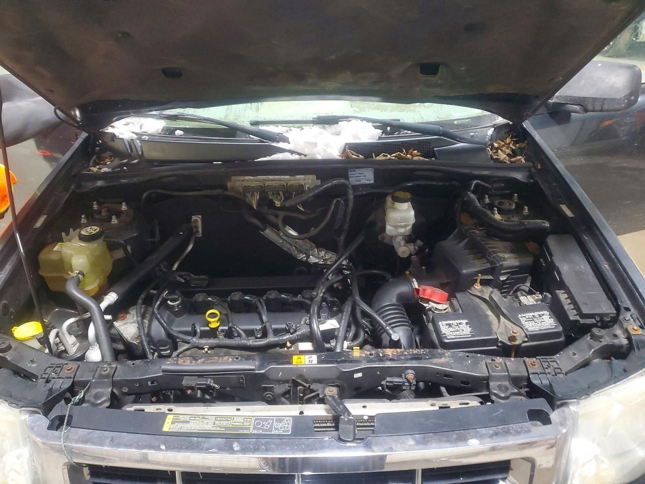 2009 Ford Escape xlt