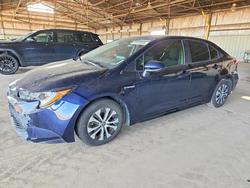 Salvage cars for sale from Copart Phoenix, AZ: 2020 Toyota Corolla le