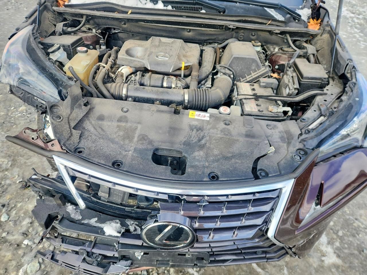 2019 Lexus Nx 300 Base