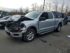 2025 Ford F150 xlt