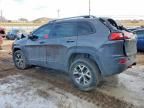 2017 Jeep Cherokee Trailhawk
