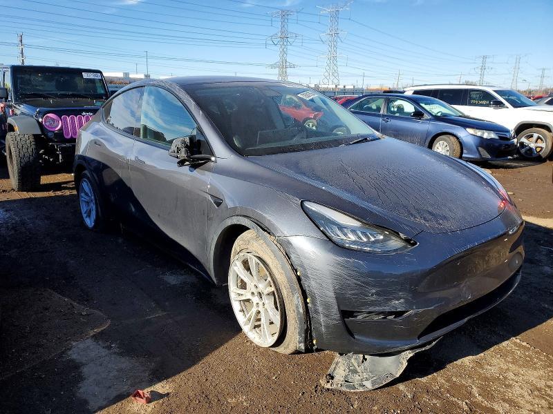 2020 Tesla Model y