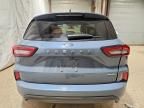 2024 Ford Escape st Line
