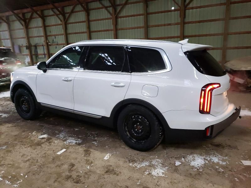 2025 KIA Telluride ex