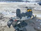 2024 Skidoo 2024 SKI-DOO MXZ Snowmobile