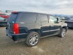 2010 Cadillac Escalade Platinum