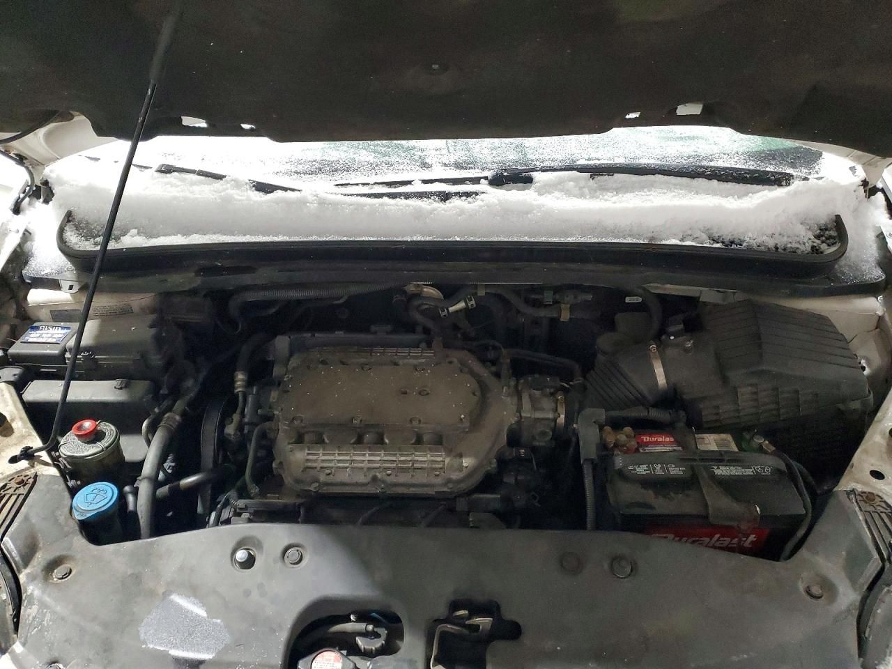 2007 Honda Odyssey exl