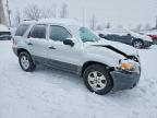 2007 Ford Escape xlt