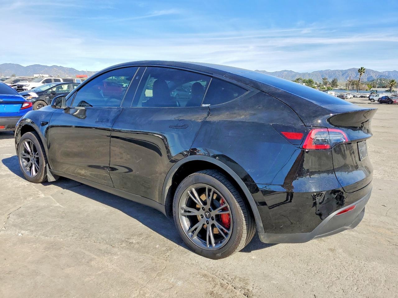 2025 Tesla Model y