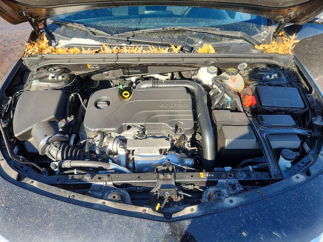 2024 Chevrolet Malibu lt