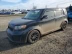 2008 Scion XB
