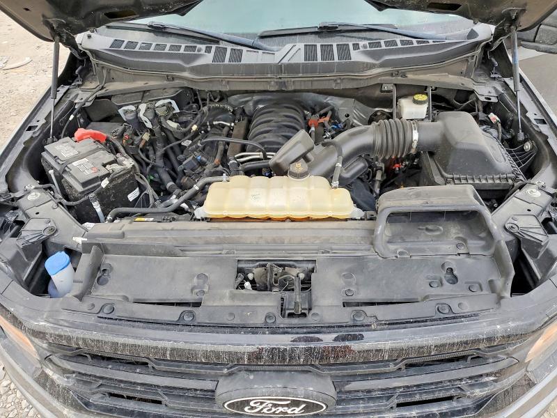 2024 Ford F150 xlt