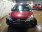 2011 Honda Cr-v exl